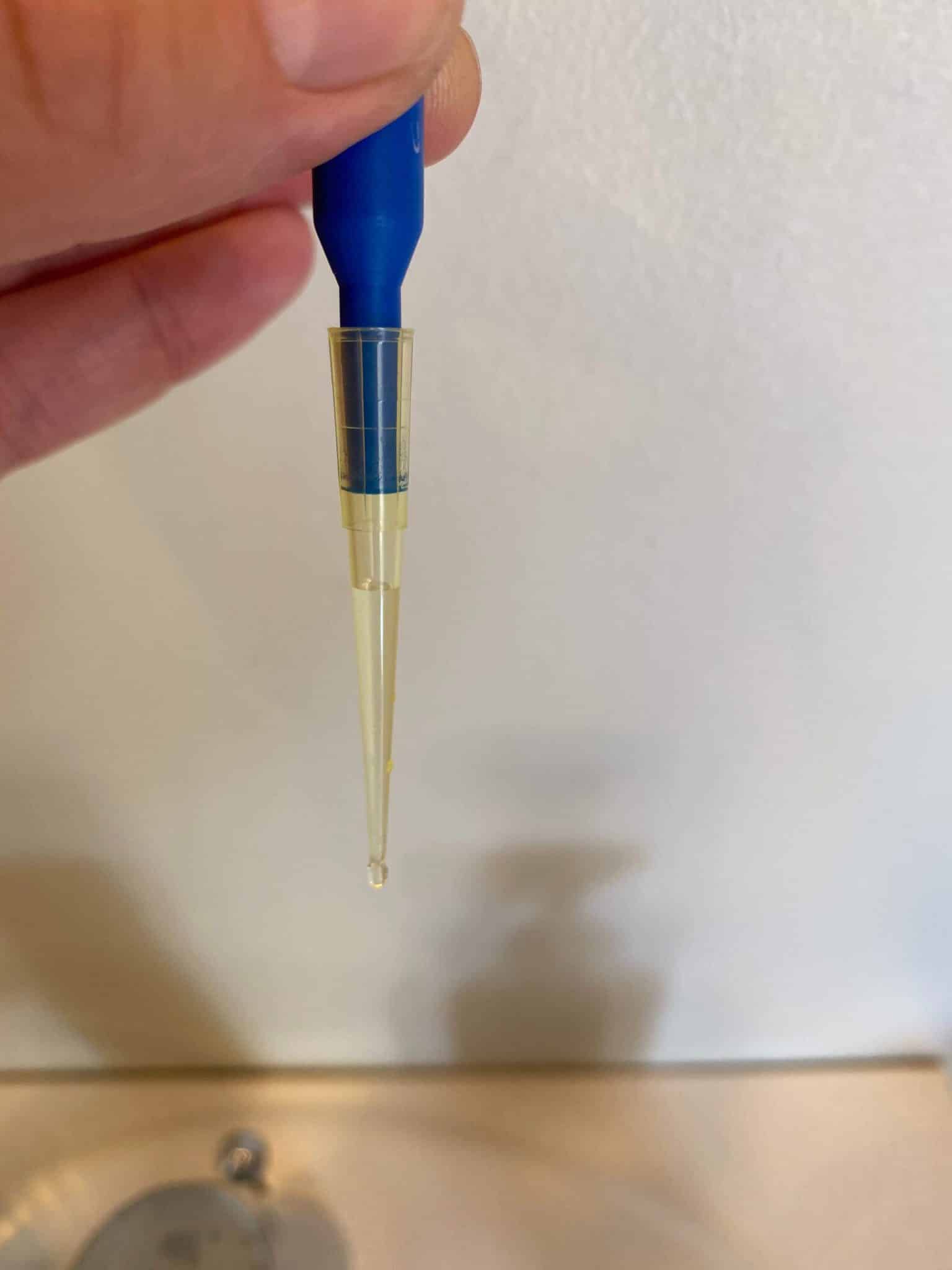 Sådan ser det ud når den lille pipettespids er fyldt